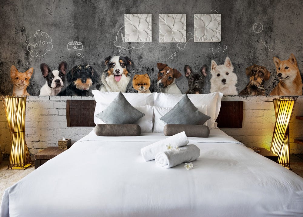 Charming dogs wallpaper with chalkboard effect, modern bedroom, white bedding, grey textured wall, stylish lamps.