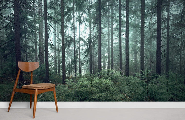 Popular Wallpaper Murals