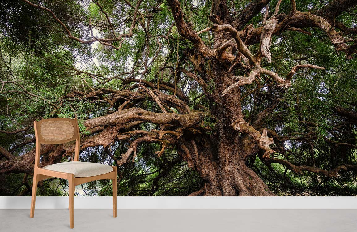 Majestic Ancient Tree Mural in Earthy Tones, wooden chair, white skirting, light grey floor.