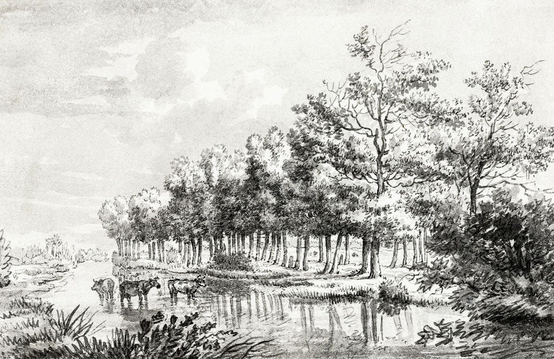 Vintage Monochrome Woodland Scene Wallpaper - Classic Pastoral Countryside Design