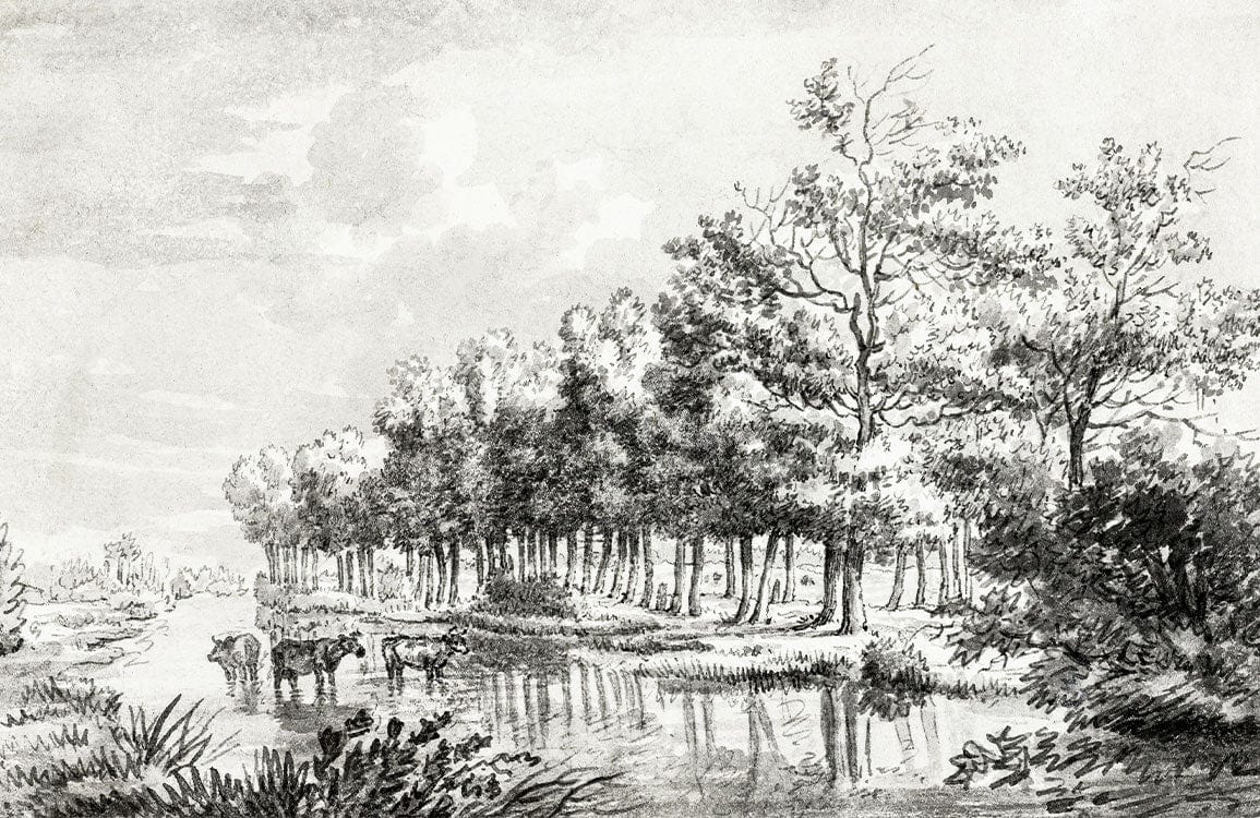 Vintage Monochrome Woodland Scene Wallpaper - Classic Pastoral Countryside Design