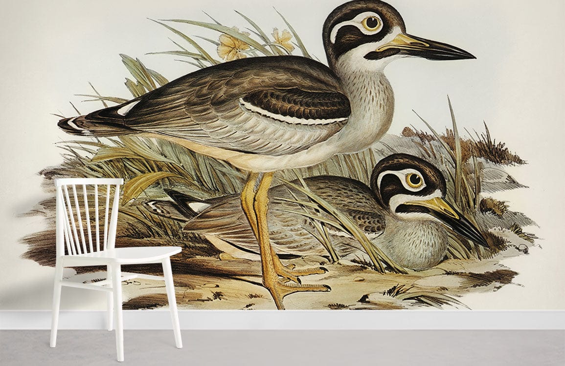 Vintage Wildlife Bird Illustration Mural Wallpaper, natural tones, with white chair, grey flooring.