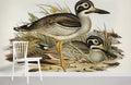 Large Billed Plover Wallpaper Mural