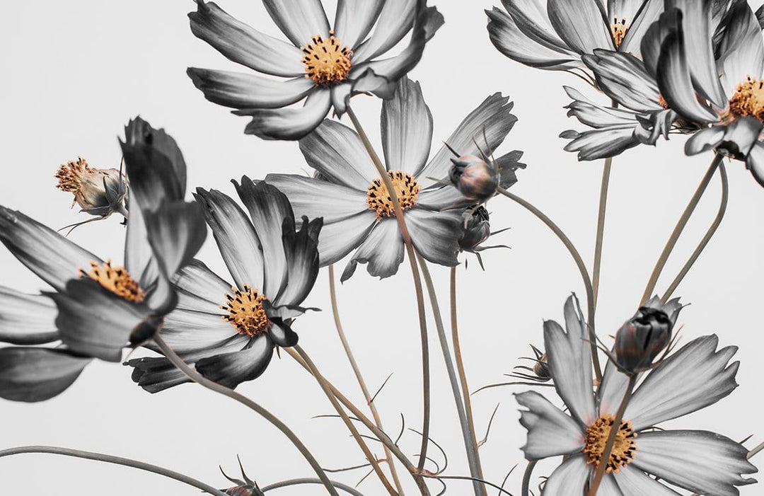 Monochrome Floral Elegance: Contemporary Botanical Wall Mural in Grey and Orange