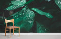 Raindrops On Leaf Wallpaper Mural