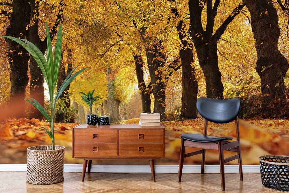 Golden Autumn Pathway Mural Wallpaper in living room, warm landscape, wooden flooring, modern chair.