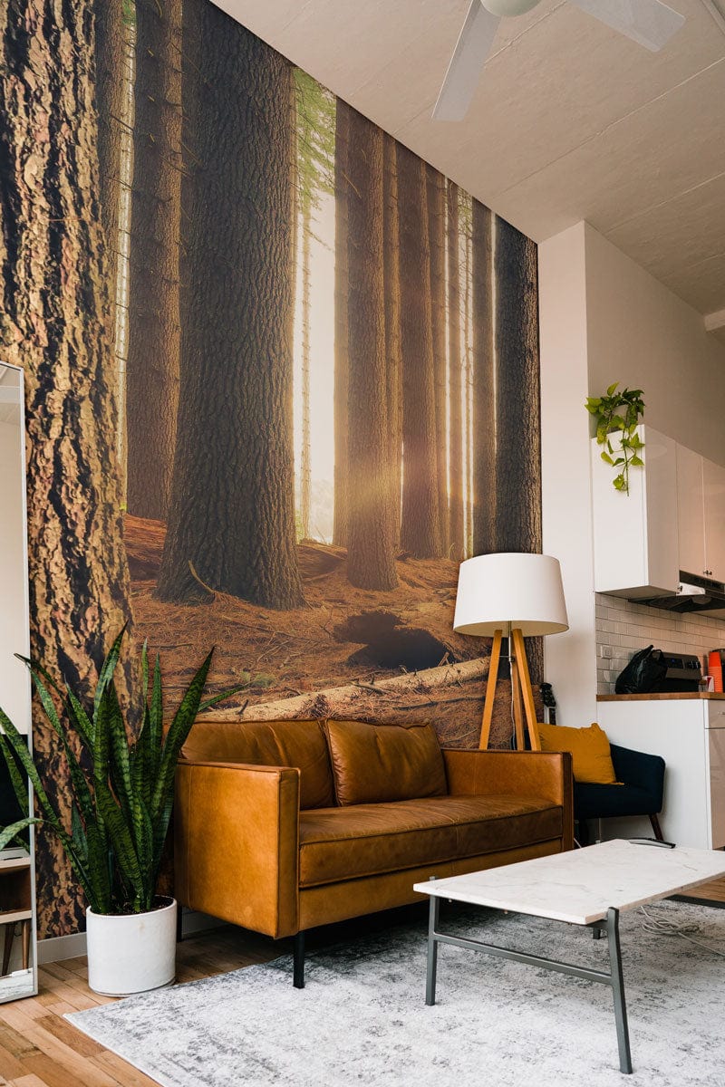 Cosy living room with brown leather sofa, Mystical Sunlit Forest Mural, light wood flooring, ceiling fan.