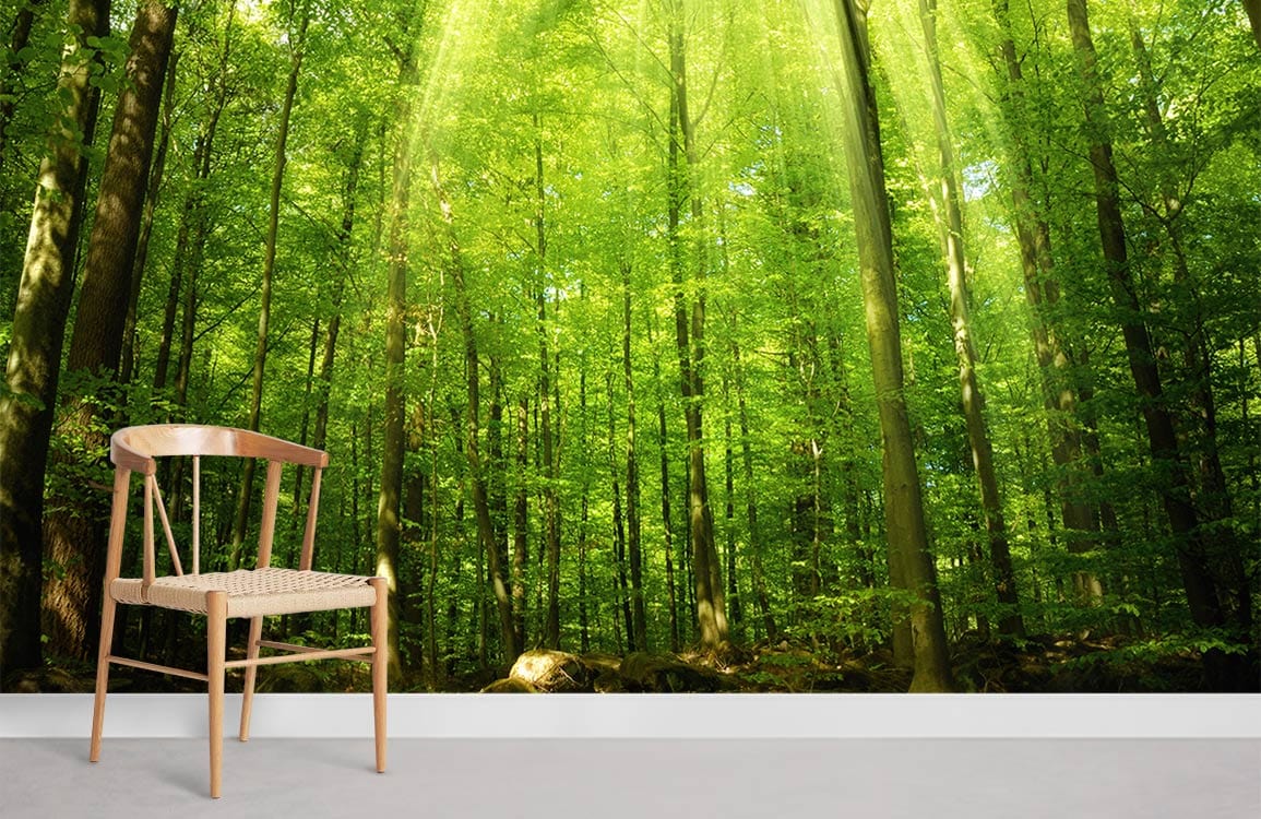 Lush Green Forest Sunlight Mural Wallpaper in minimalist room, featuring wooden chair, grey flooring.