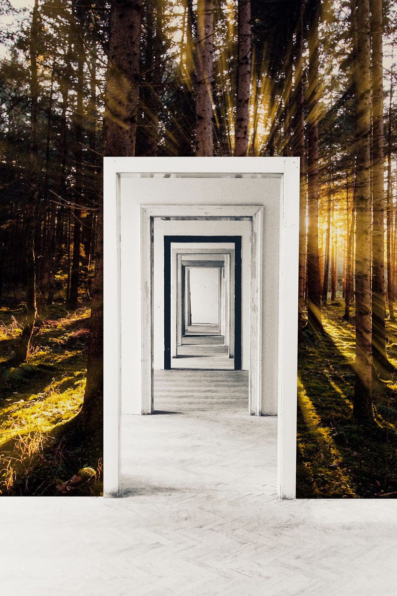 Golden Forest Sunrise Mural Wallpaper with sunlit forest view, white doors, and light wood flooring.