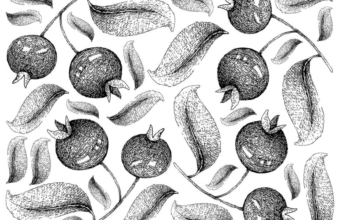 Monochrome Pomegranate Sketch Pattern Wallpaper for Modern Interiors
