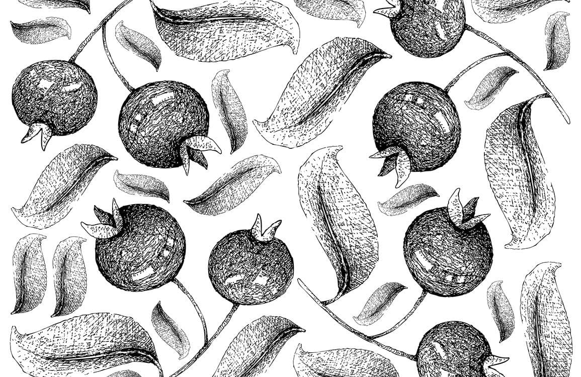 Monochrome Pomegranate Sketch Pattern Wallpaper for Modern Interiors