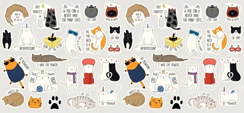 Playful Cat-Themed Illustrated Mural Wallpaper for Children's Rooms - Multicoloured Fun