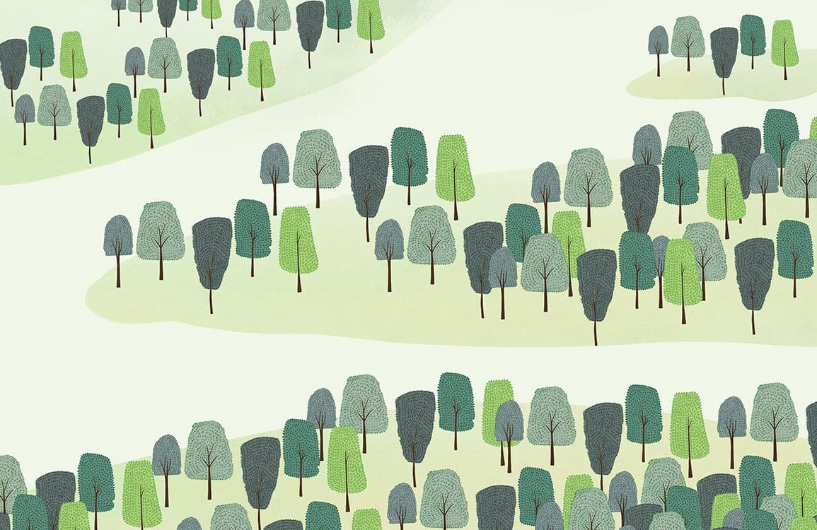 Calm Green Forest Landscape Pattern Wallpaper for Modern Interior Design