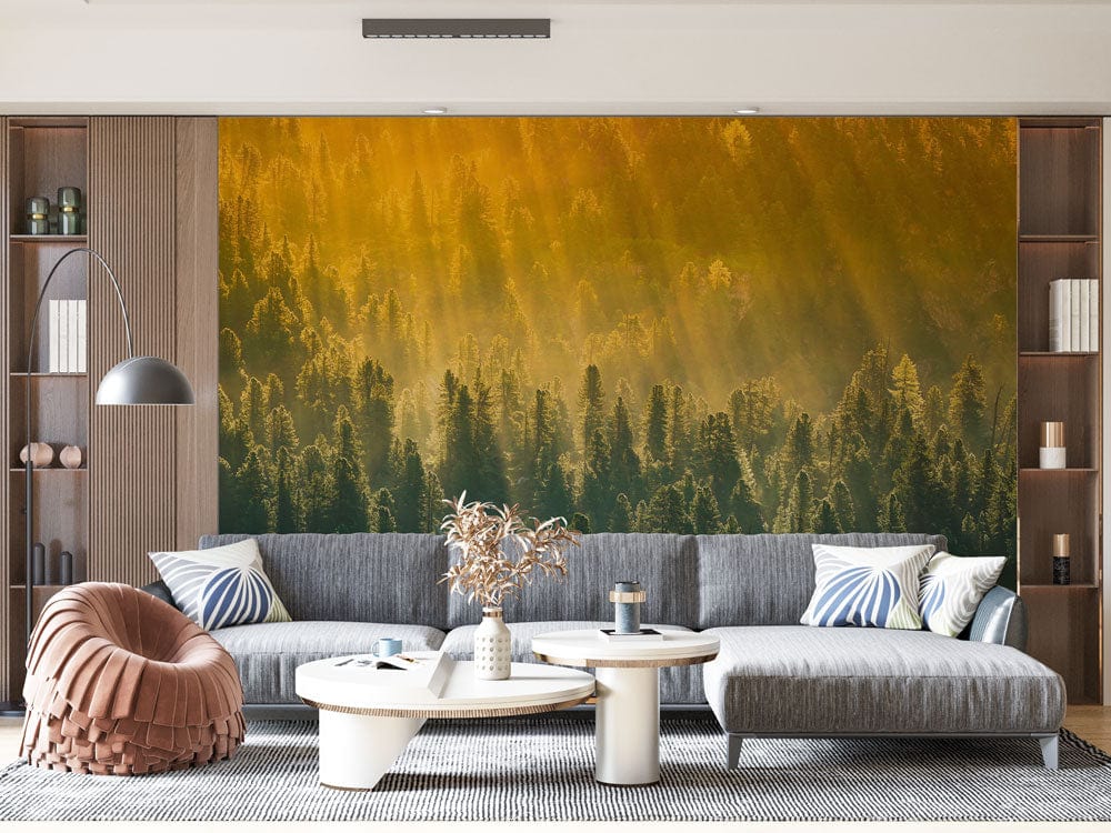 Modern living room with Golden Forest Sunrise Mural Wallpaper, grey sofa, and wooden flooring, contemporary decor.