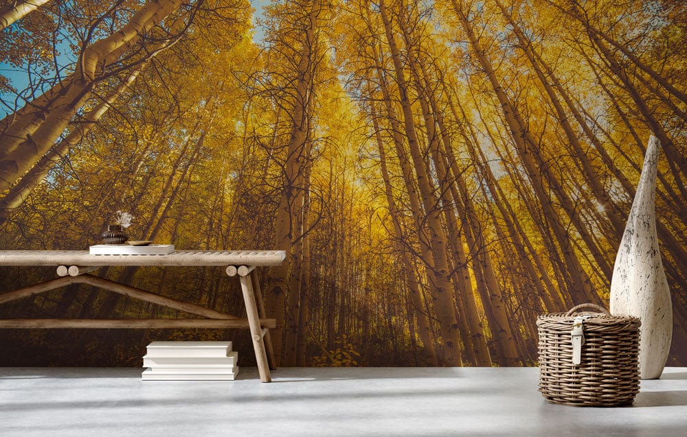 Golden Autumn Forest Wall Mural enhancing room with rustic bench, neutral flooring, woven basket decor.