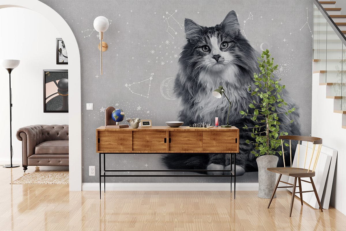 Celestial Cat Grey Wallpaper in elegant living room with wooden console, grey and beige decor.