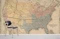United States Wallpaper Mural
