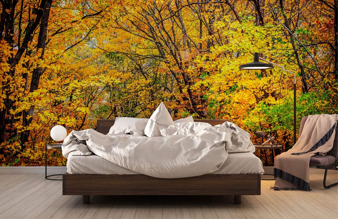 Autumn woodland mural wallpaper with vibrant leaves, modern bed, wooden floor, grey chair, lamp in bedroom.