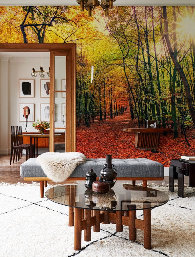 Enchanting Autumn Forest Path Mural Wallpaper in living room with grey bench, glass table, cream rug.