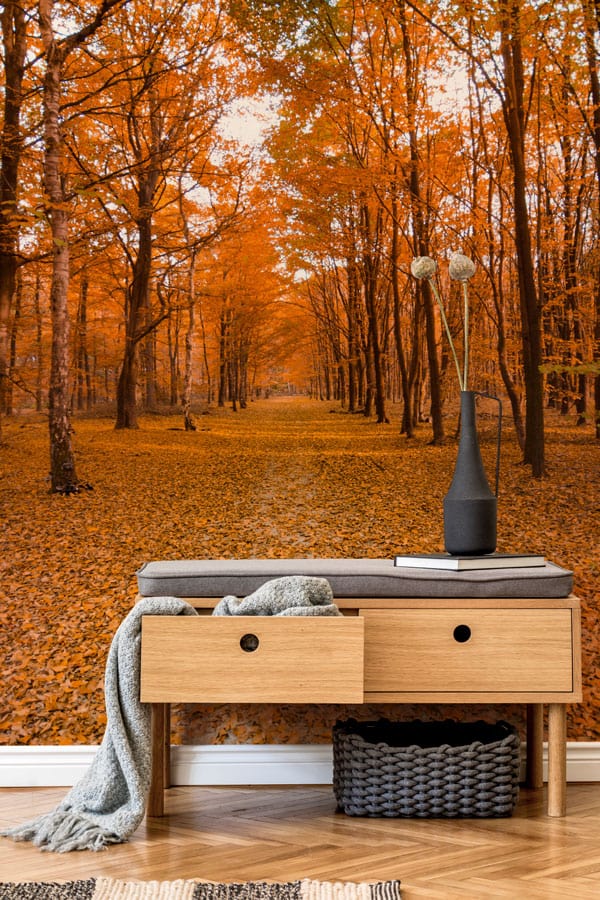 Autumn forest path mural wallpaper in orange tones with wooden bench, grey cushion, and basket.