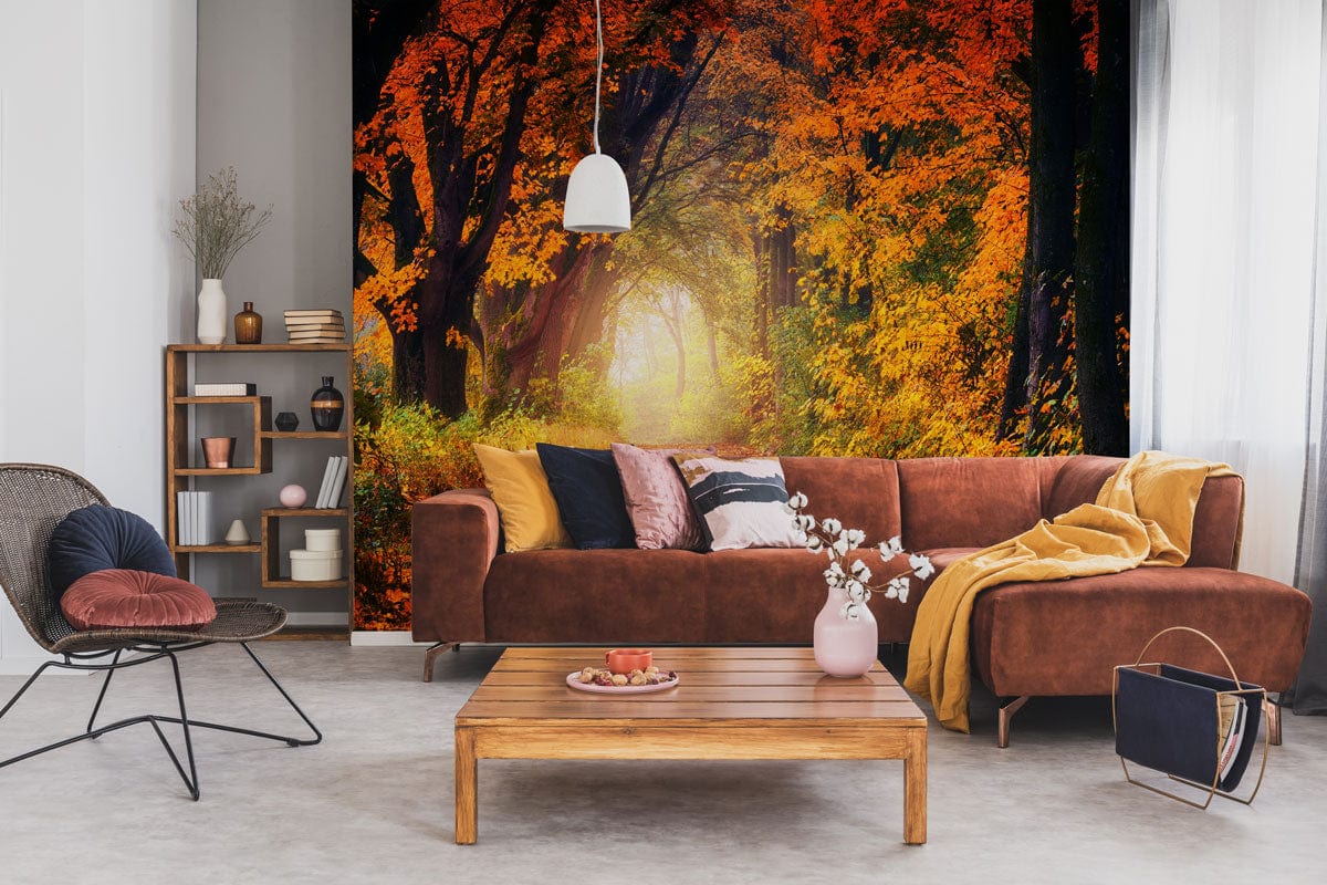 Autumn Forest Path Mural Wallpaper in cosy living room with brown sofa and modern bookshelf.