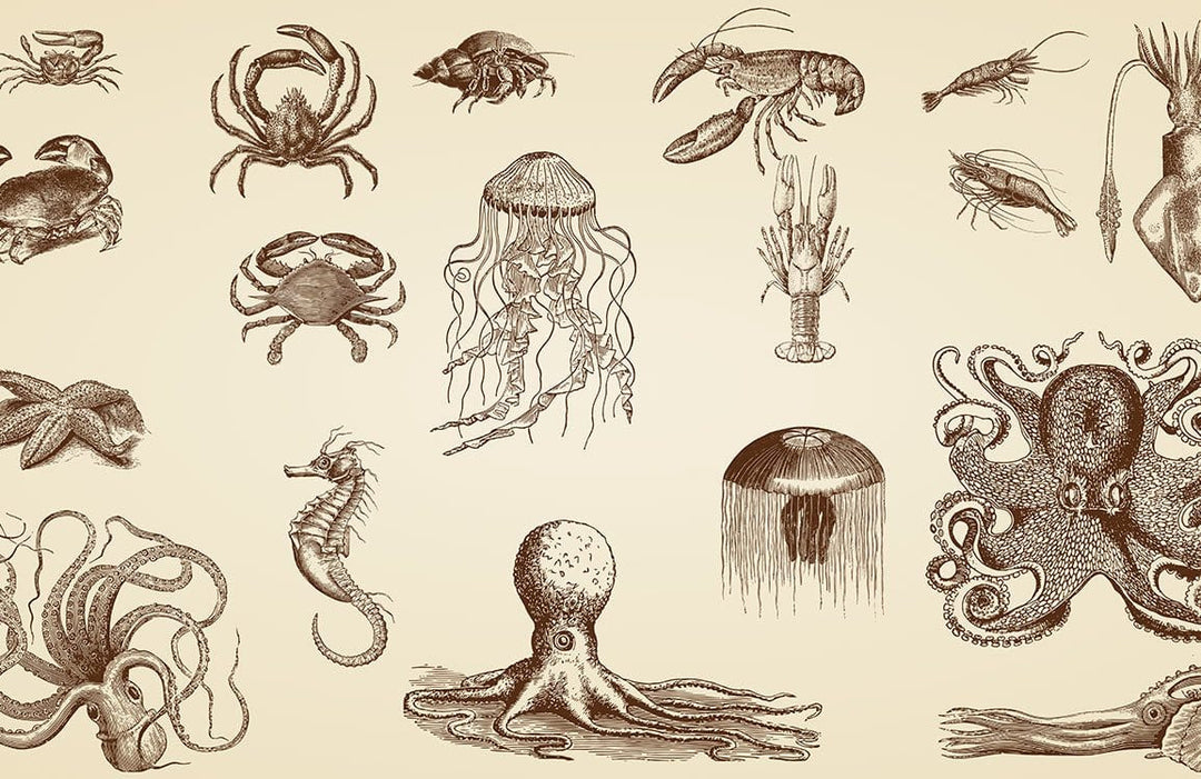 Vintage Marine Life Sepia-Inspired Patterned Wallpaper for Nautical Interiors