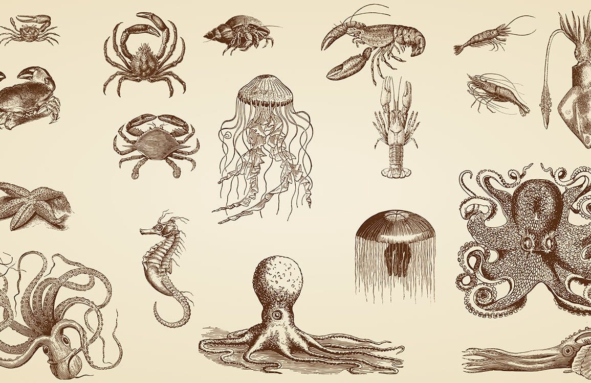 Vintage Marine Life Sepia-Inspired Patterned Wallpaper for Nautical Interiors