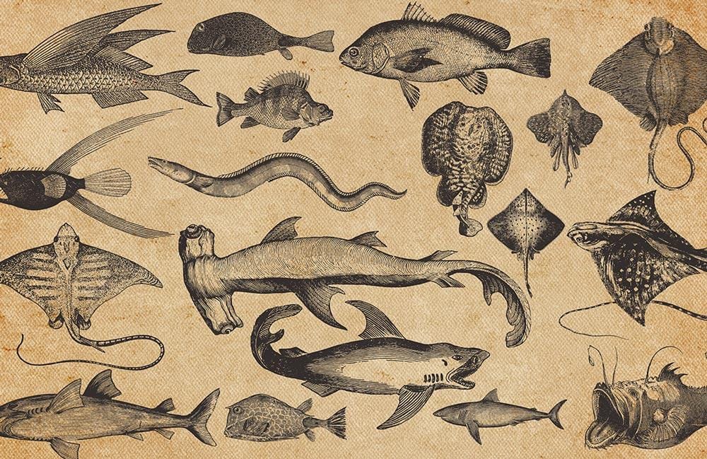 Vintage Oceanic Fauna Beige Retro Nautical Wallpaper Mural for Interior Design
