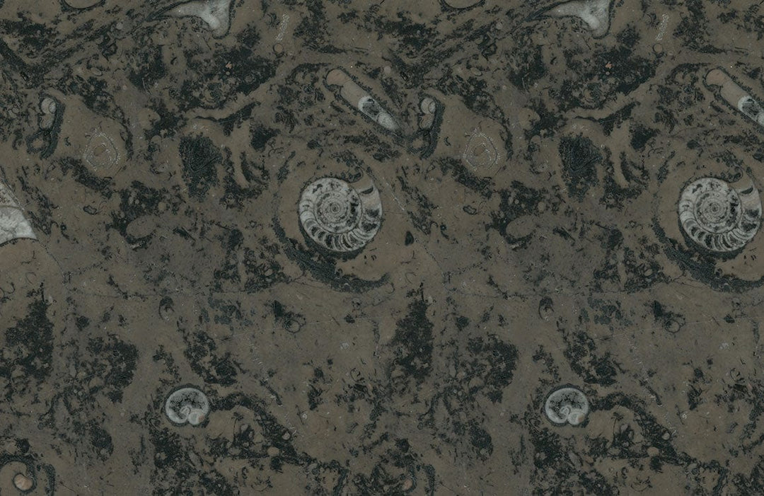 Dark Fossil Swirl Patterned Wallpaper - Natural Earth Tone Design