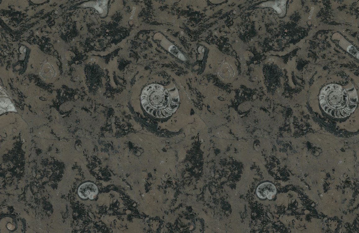Dark Fossil Swirl Patterned Wallpaper - Natural Earth Tone Design