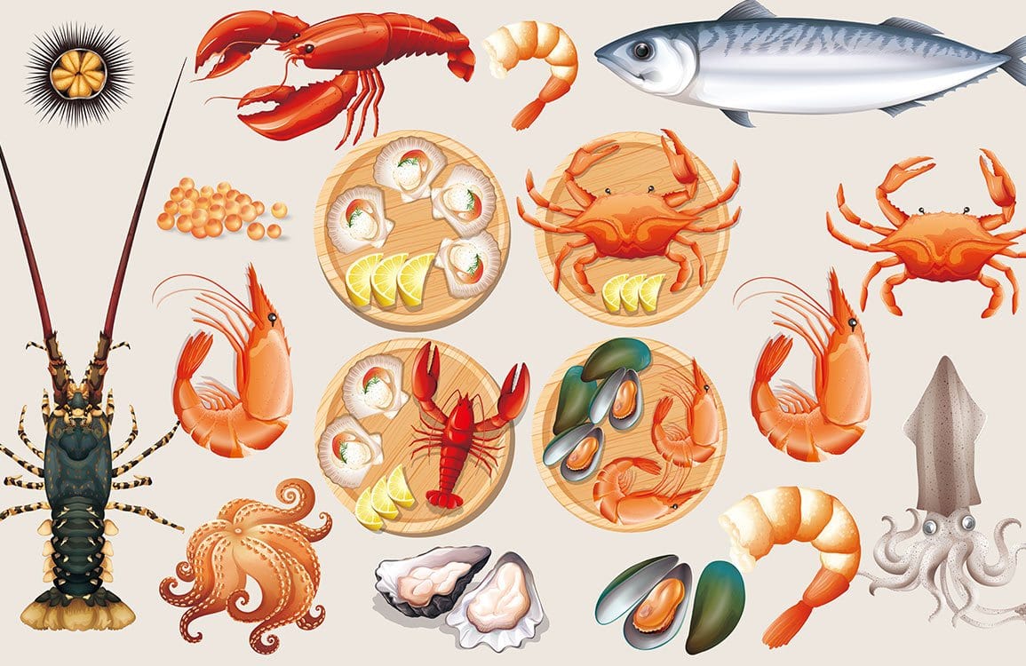 Colourful Seafood Feast Mural Wallpaper - Vibrant Marine Culinary Art Design