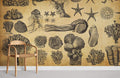 Marine Life Wallpaper Mural