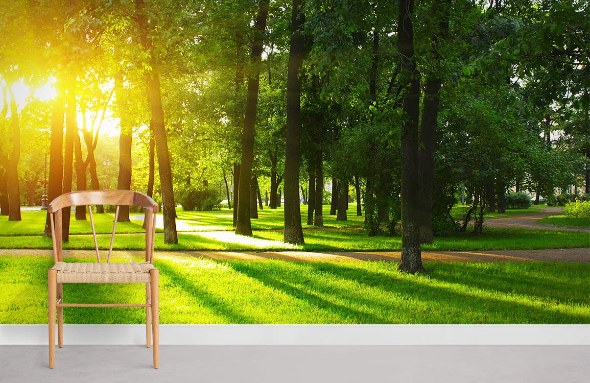Sunlit Forest Path wallpaper, serene nature Décor, chair, light grey flooring, enhancing tranquillity and style.