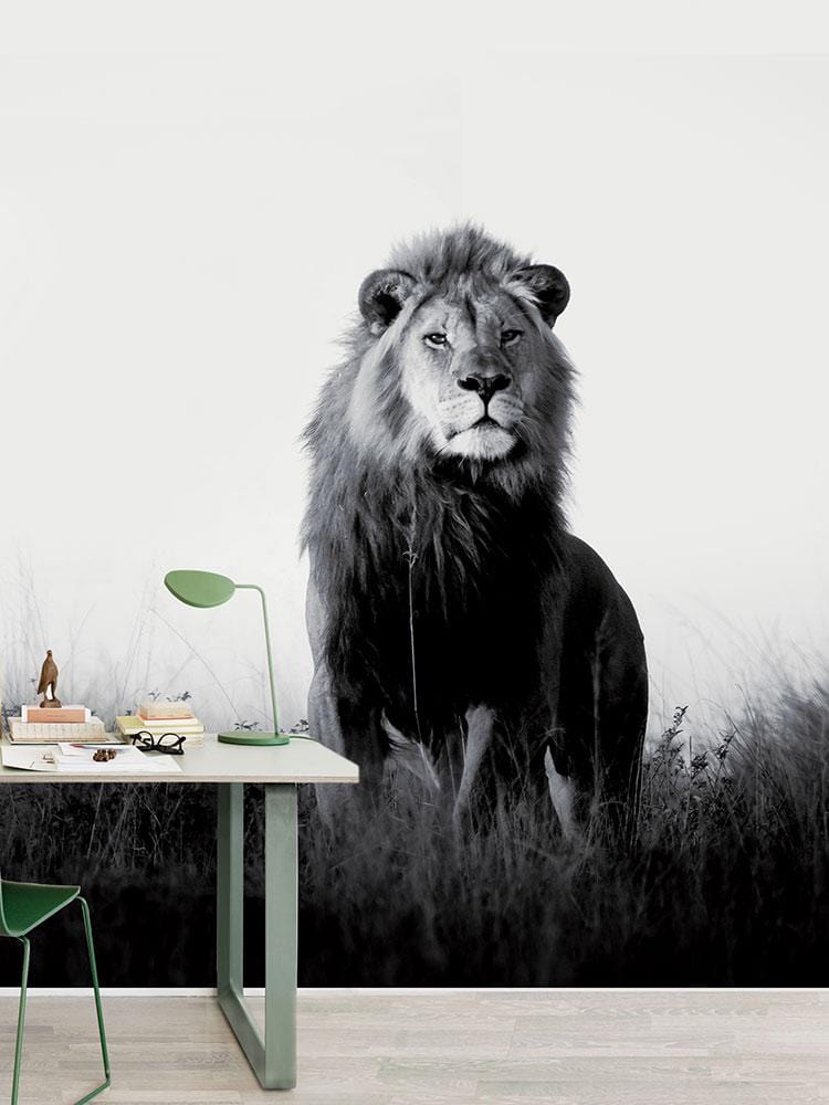 Monochrome lion mural wallpaper, modern desk, chair, light wood flooring, office decor, black and white.