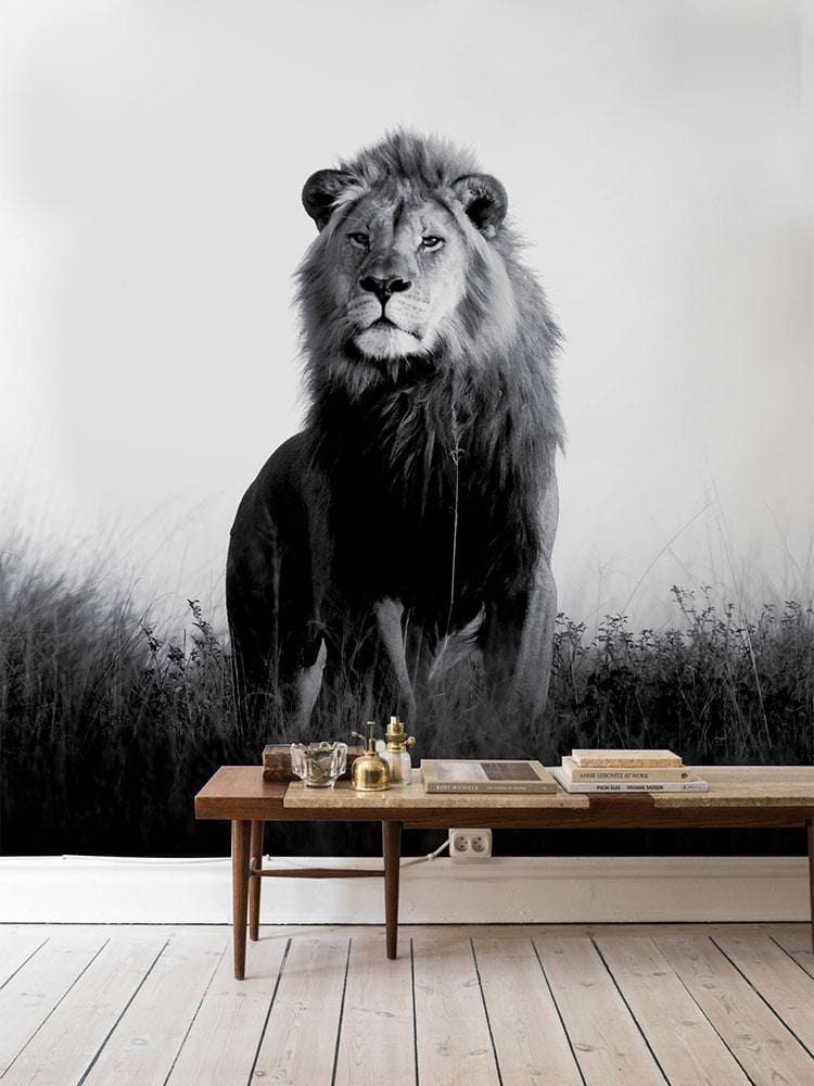 Black and white lion mural wallpaper with wooden bench, light wood flooring, in modern living room.