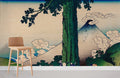 Mishima Pass Wallpaper Mural