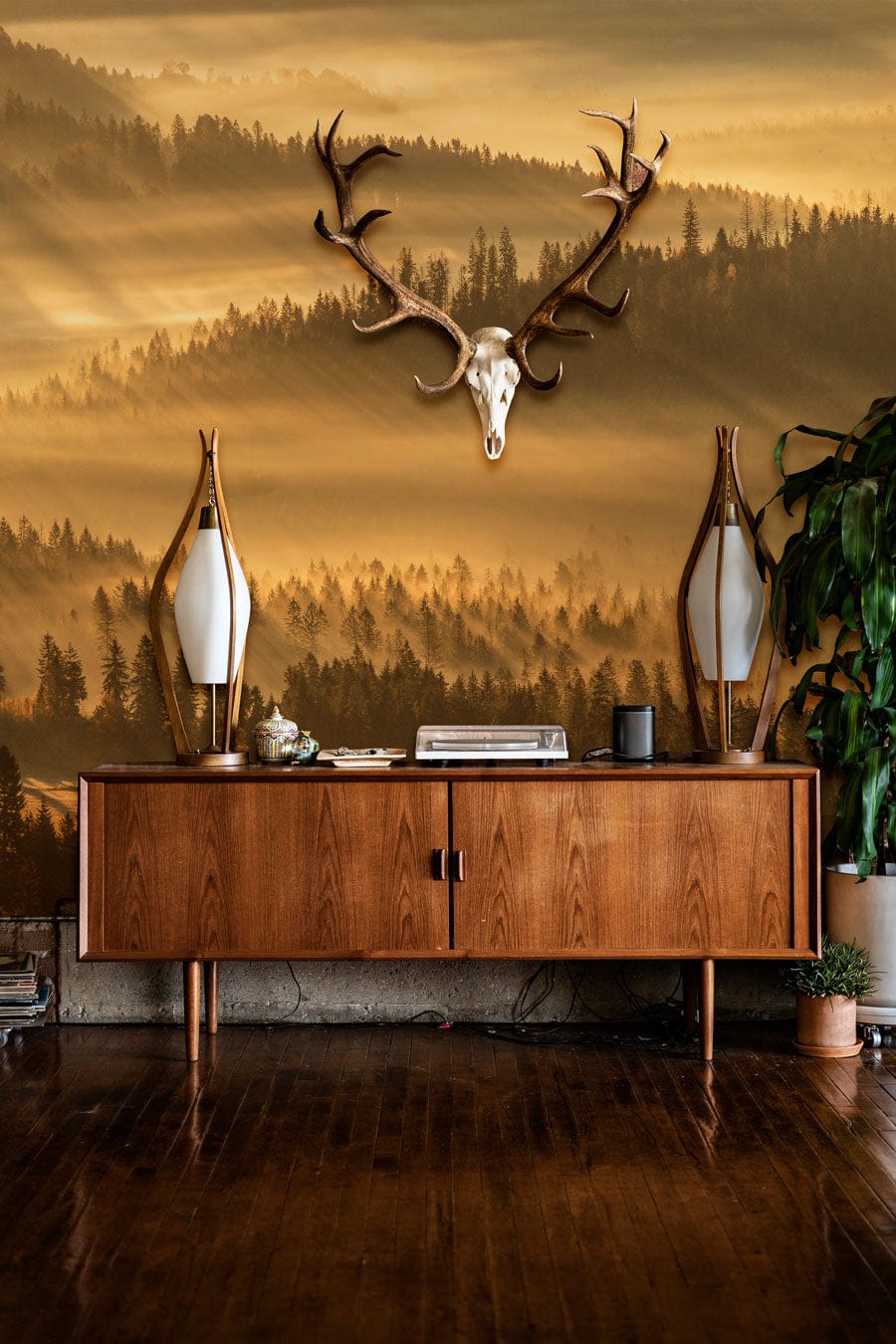 Golden Misty Forest Sunrise Wallpaper in living room with wooden floor, vintage sideboard, green plant.