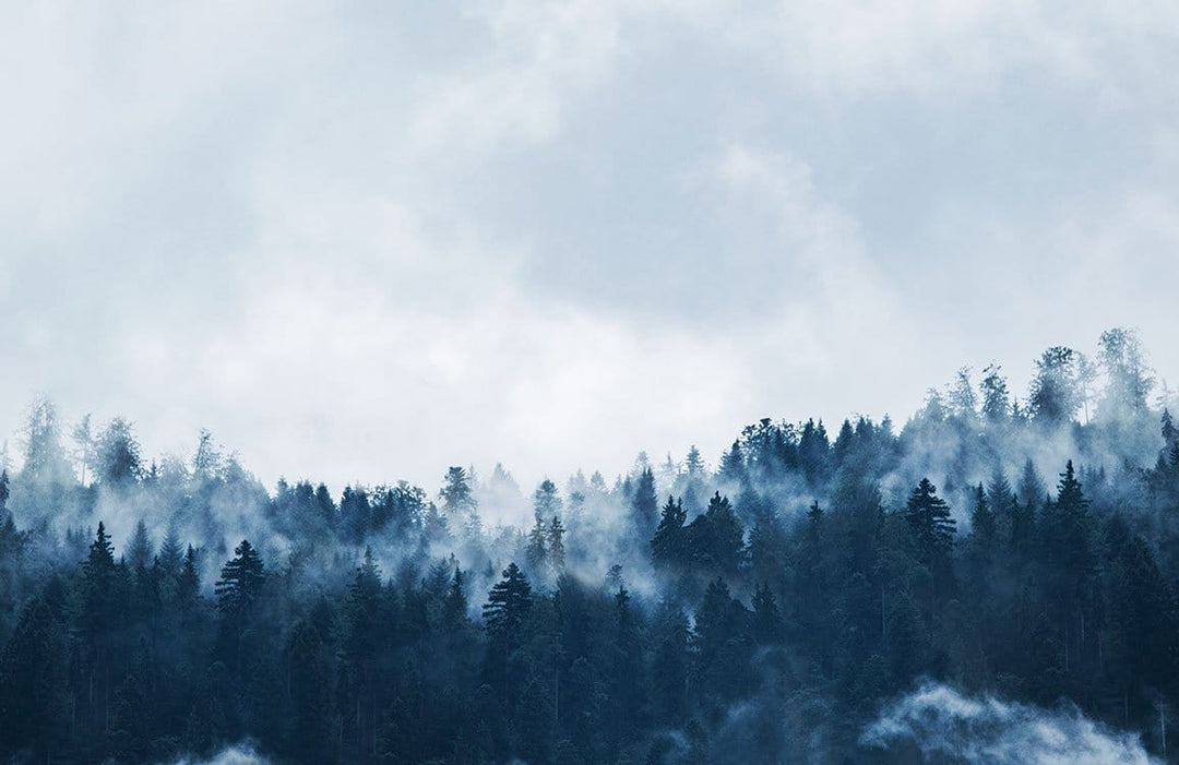 Enchanted Misty Forest Mural Wallpaper: Serene Blue-Grey Nature Landscape Art