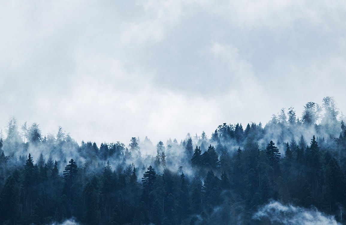 Enchanted Misty Forest Mural Wallpaper: Serene Blue-Grey Nature Landscape Art