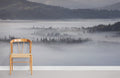 Misty Forest Wallpaper Mural
