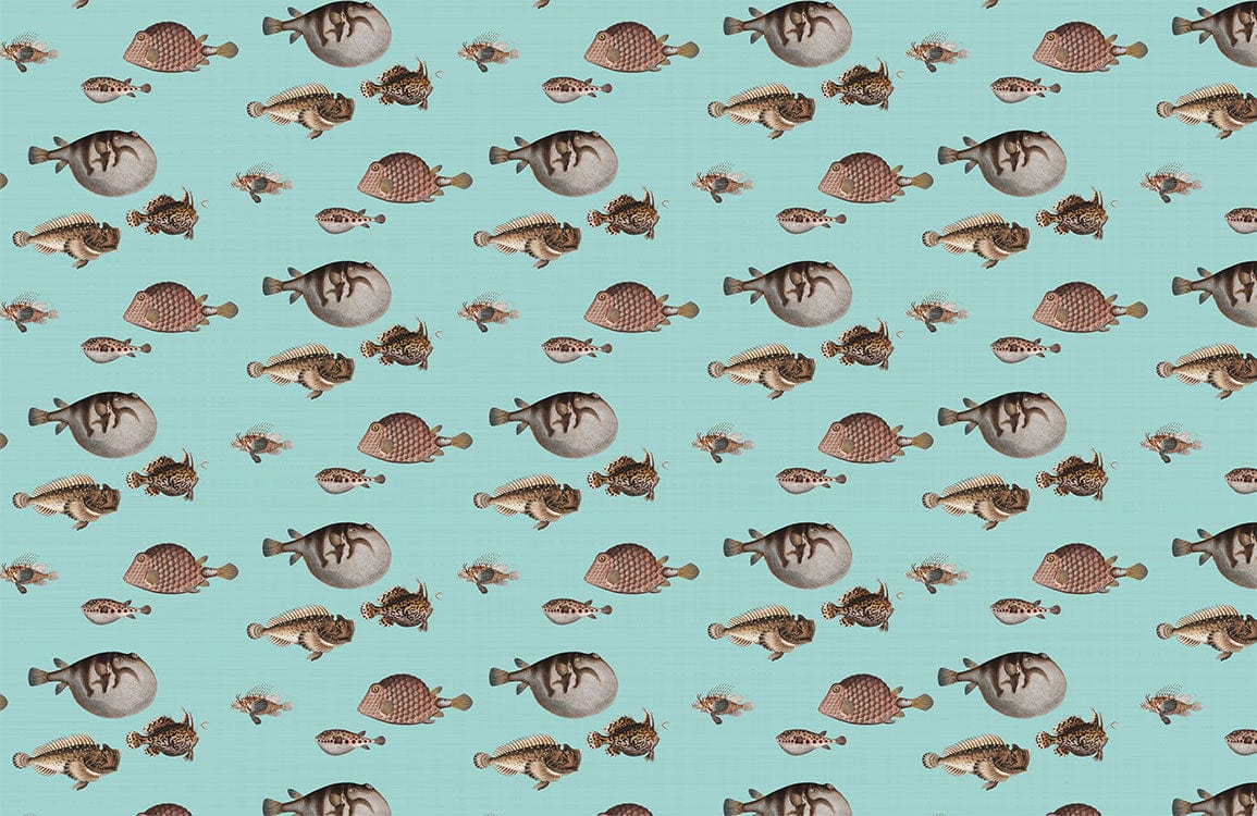 Mixture Fish Wallpaper Mural