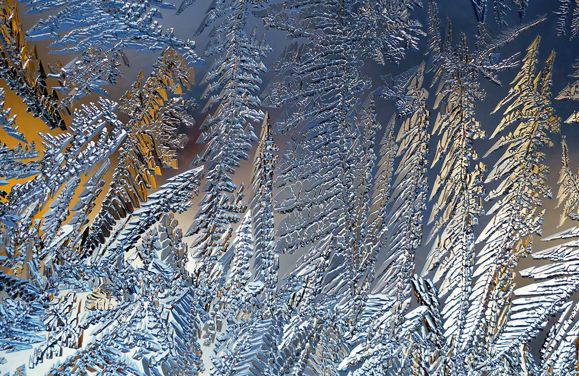 Frosted Winter Forest Abstract Patterned Blue Silver Wallpaper Design