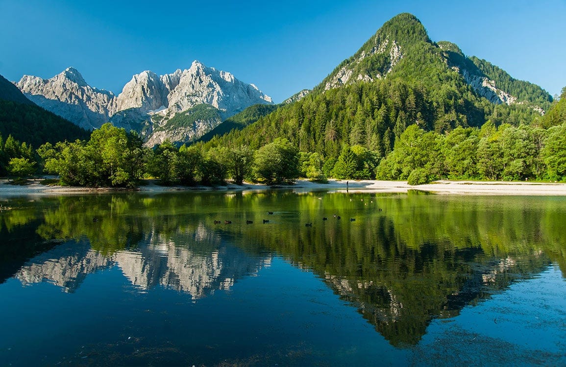 Serene Alpine Lake Scenic Landscape Mural Wallpaper in Vibrant Greens and Blues