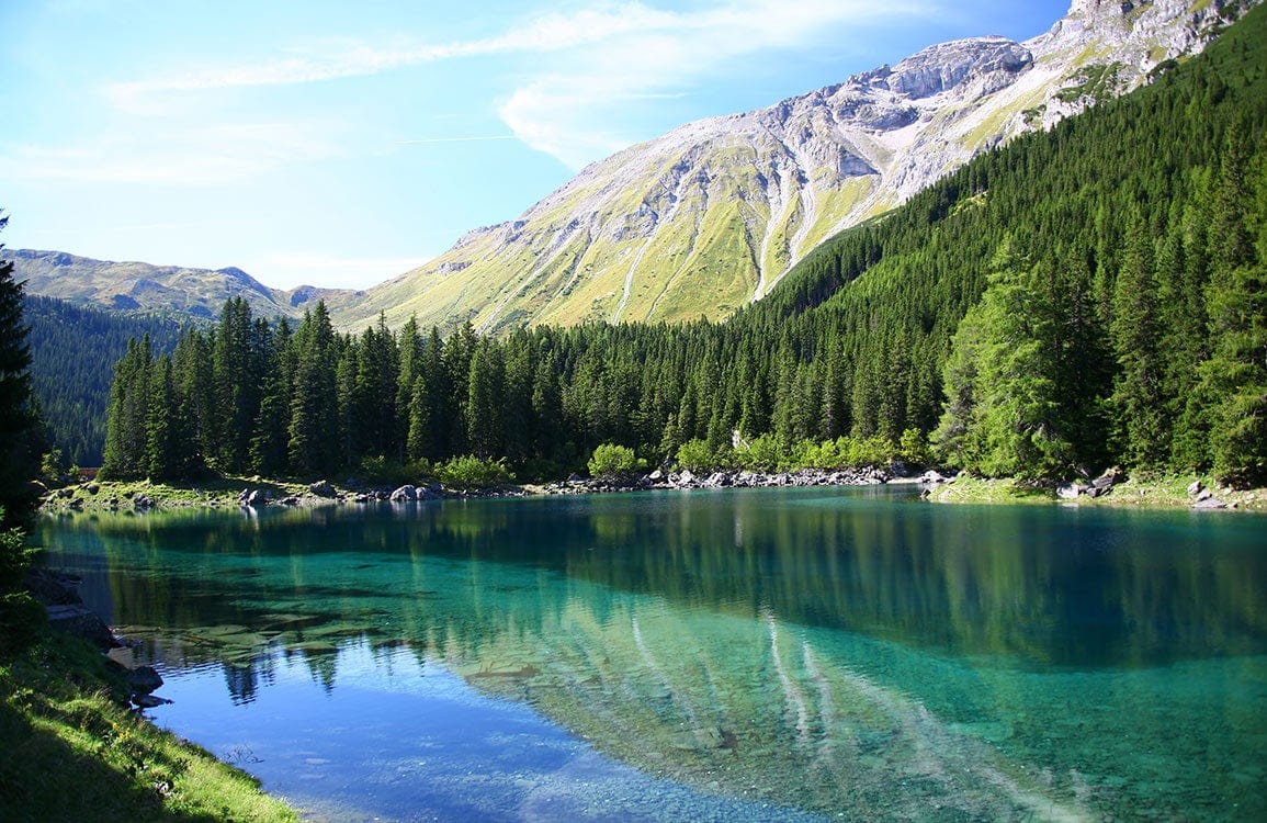 Serene Alpine Lake and Forest Landscape Mural Wallpaper in Vibrant Greens and Blues