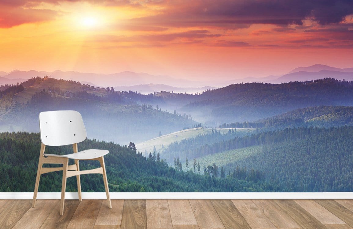 Serene Sunlit Forest Landscape Mural Wallpaper with white chair, wooden flooring, tranquil sunrise decor.