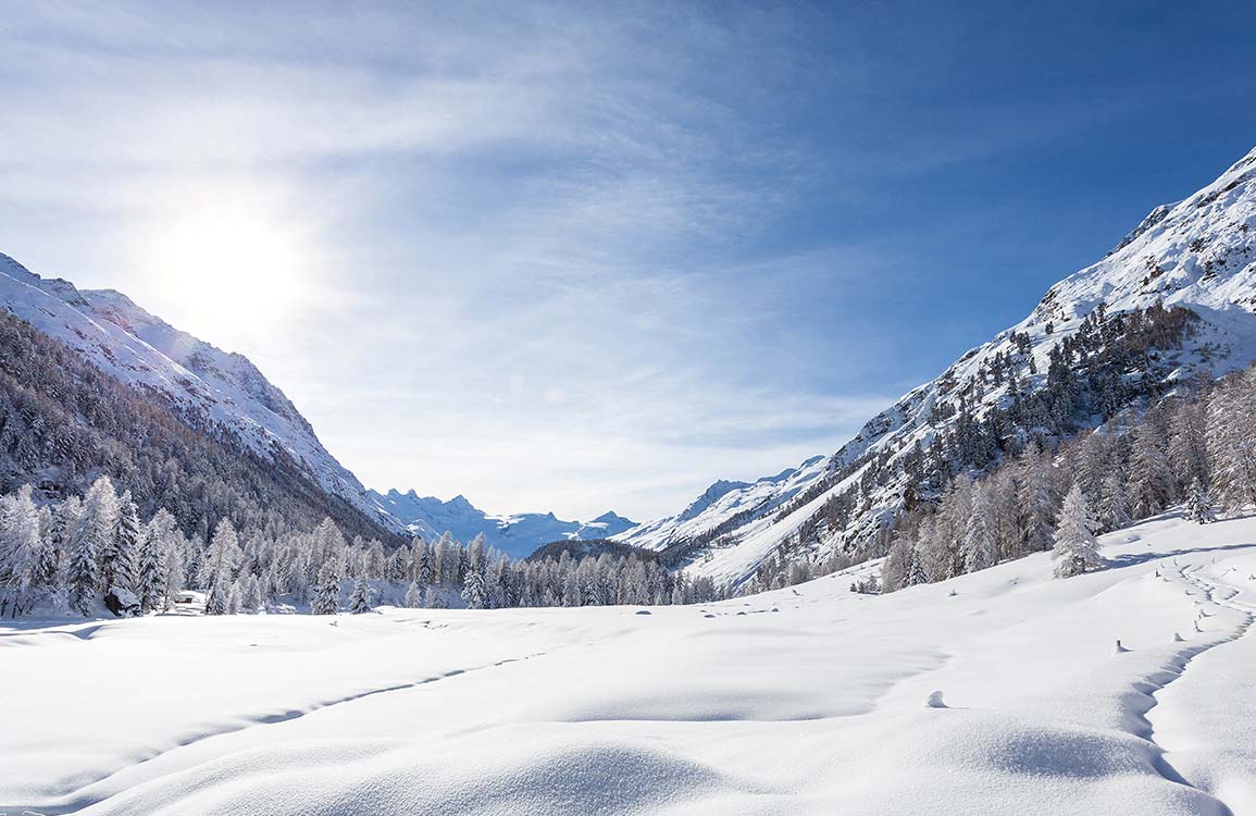 Serene Winter Mountain Landscape Mural Wallpaper in Crisp Blue and White