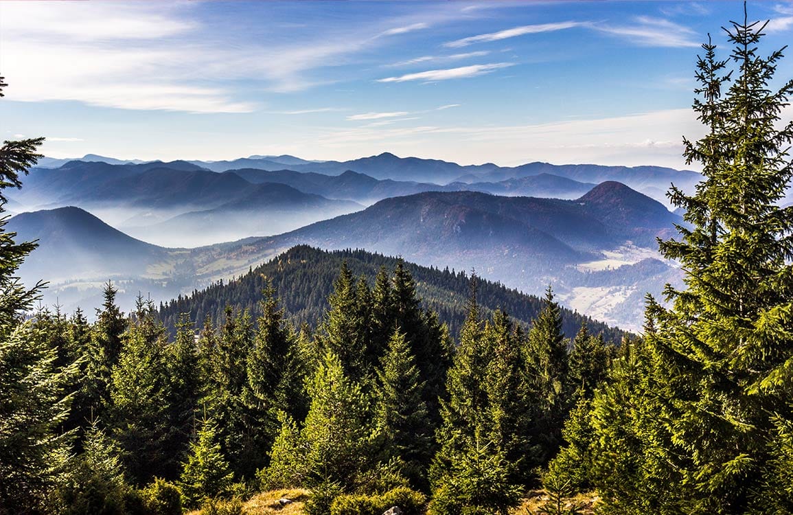 Serene Mountain View Mural Wallpaper: Vibrant Scenic Forest Landscape Design