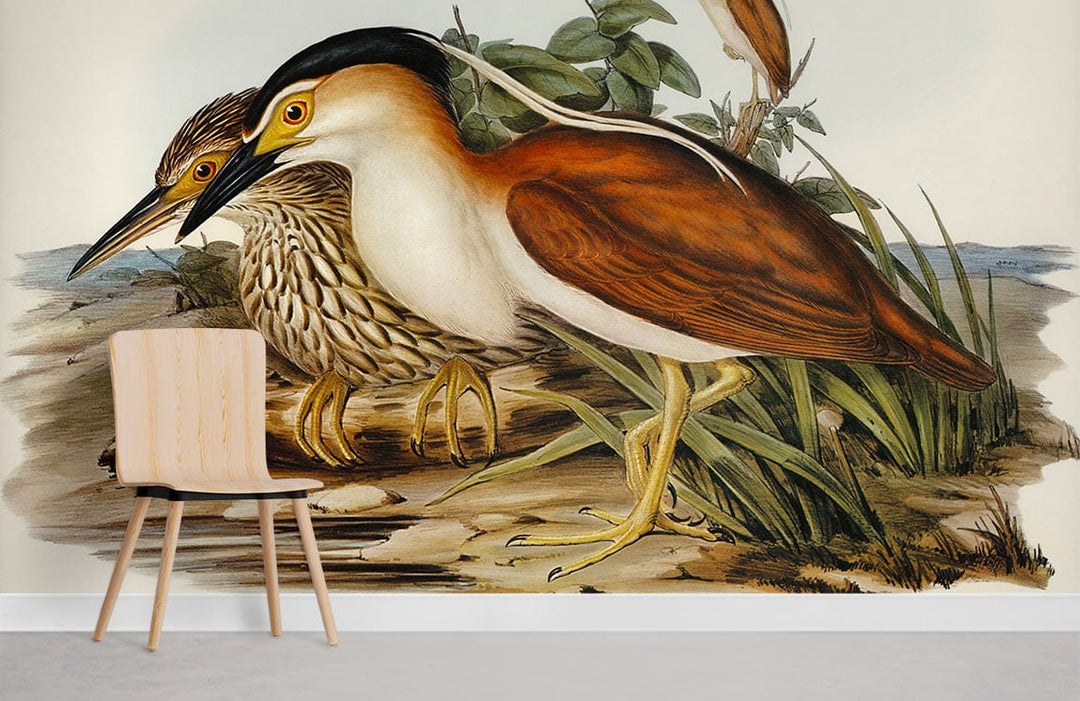Vintage Bird Illustration Wallpaper in earthy tones, modern wooden chair, grey flooring, nature-inspired decor.