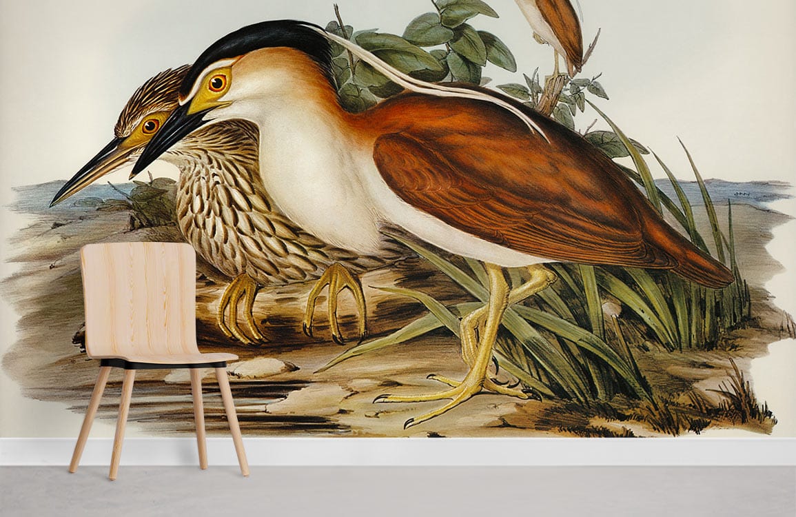 Vintage Bird Illustration Wallpaper in earthy tones, modern wooden chair, grey flooring, nature-inspired decor.