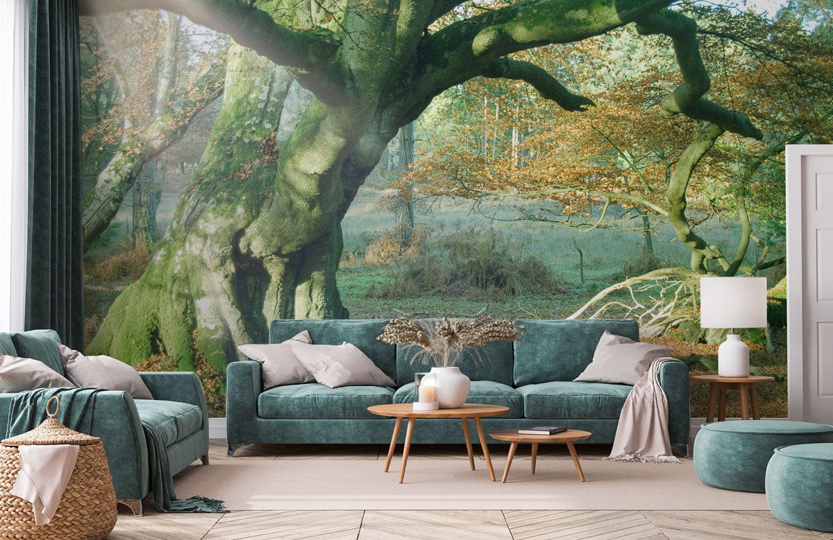 Majestic Ancient Oak Forest Mural Wallpaper adorns living room with teal sofas, wooden flooring, autumn decor.